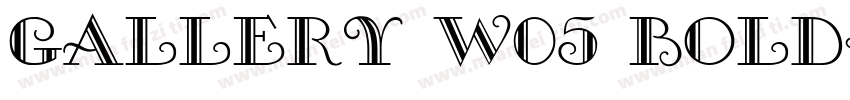 Gallery W05 Bold字体转换